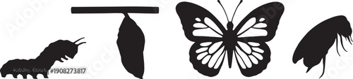 Silhouette of a  butterfly birth to butterfly death complete life season set in black and white silhouette vector with transparent background 