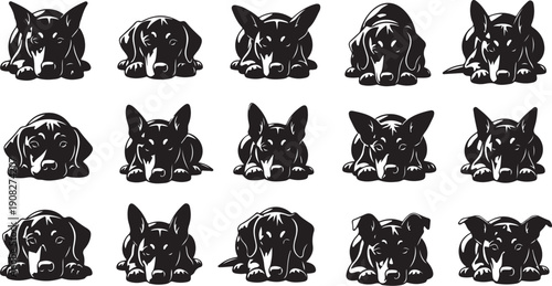 Collection of black and white dog illustrations in various poses
