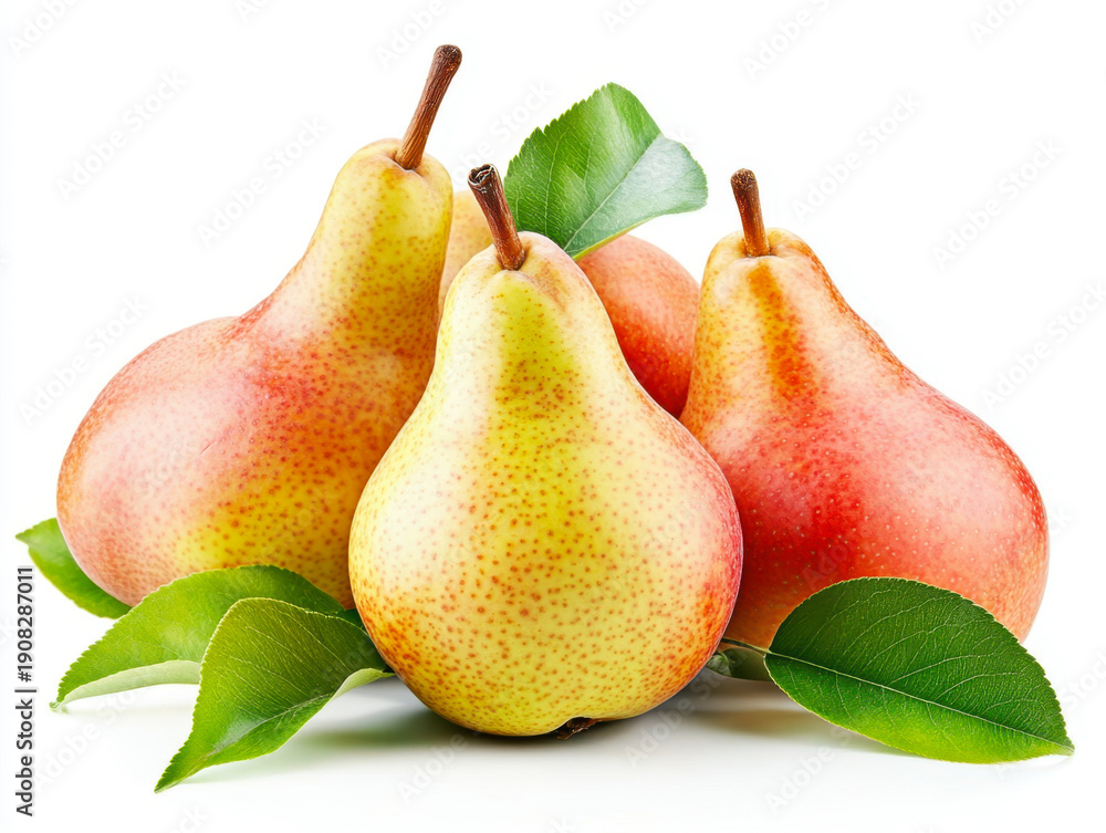 custom made wallpaper toronto digitalCollection of delicious pears, isolated on white background