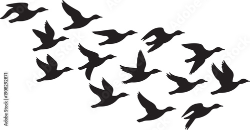 flying canadian geese Canada Goose