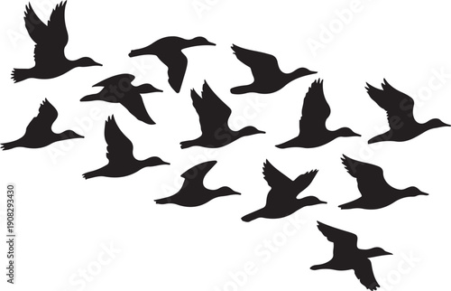 flying canadian geese Canada Goose