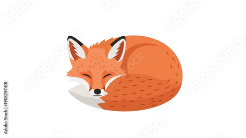 Cute Sleeping Fox Curled Up in a Ball, Adorable Wildlife Illustration
