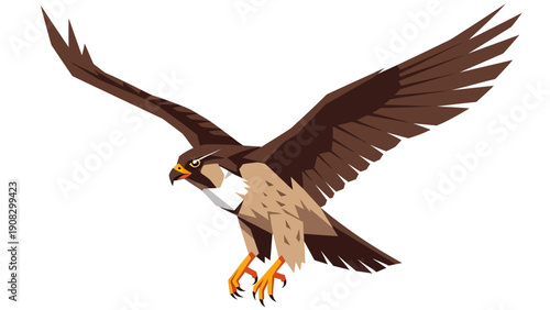 Peregrine Falcon in Flight, Hunting Bird of Prey with Wings Spread Wide