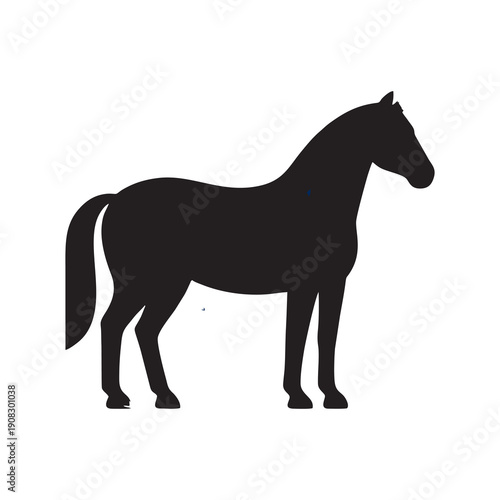 Silhouette of a horse with a white background