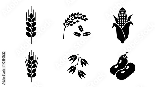 Set of Six Grain and Legume Icons: Wheat, Rice, Corn, Soybeans, Beans
