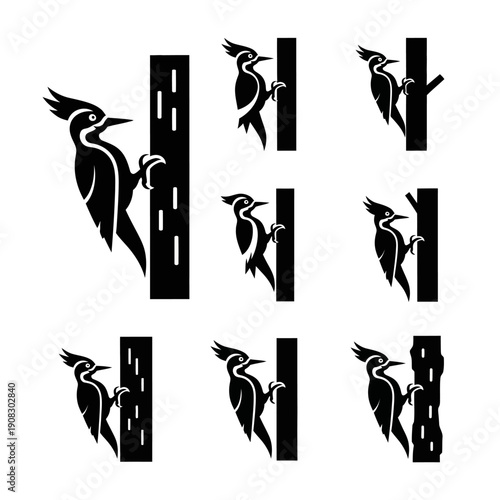 Woodpecker Collection: Silhouettes of Birds Pecking on Trees
