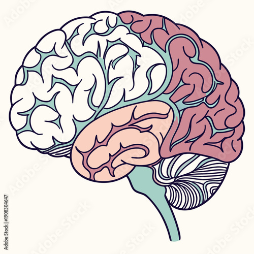 Abstract brain illustration, cerebral and neural network concept, representing intelligence, thought, and the human mind with intricate detail.