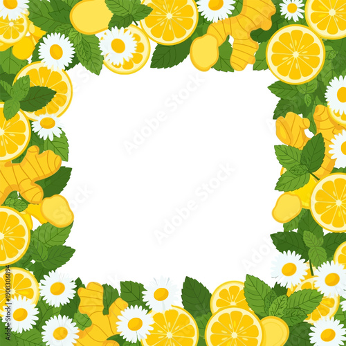 Square border frame of fresh lemon slices ginger mint and chamomile flowers
