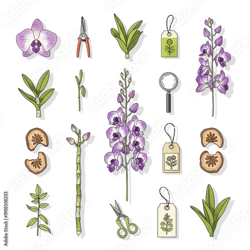 Orchid flowers, leaves, pruning shears, tags, and dried slices in a collection