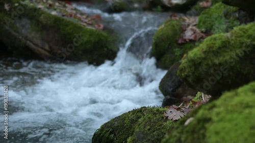 Wallpaper Mural Forest stream flowing over mossy rocks Torontodigital.ca