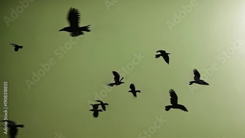 Wallpaper Mural A flock of birds flying in silhouette against a hazy green sky. Torontodigital.ca