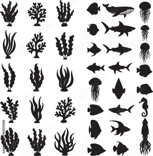 Collection of black silhouette marine life and sea plants on white background also transparent background