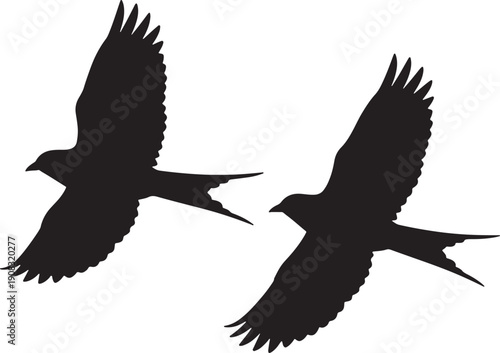 Two black silhouette birds in flight with wings spread wide against a white background also transparent background