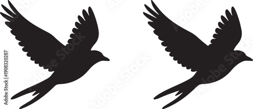 Two black silhouette birds in mid flight with wings spread and forked tails on a white background also transparent background