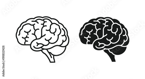 A minimalist depiction showcases two contrasting views of the human brain one light and one dark high quality
