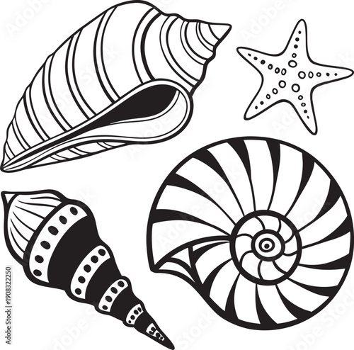 set of sea shells vector
