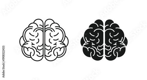 A graphic depiction showcases two contrasting brain illustrations one with detailed convolutions and the other simplified high quality