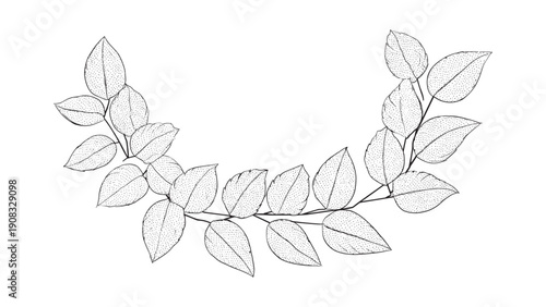 Stippled botanical branch with small leaves, vintage ink drawing style