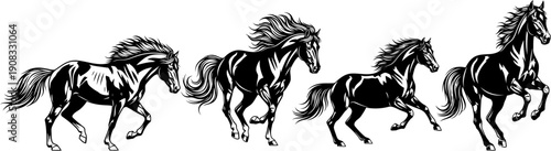 running horses motion on the white background