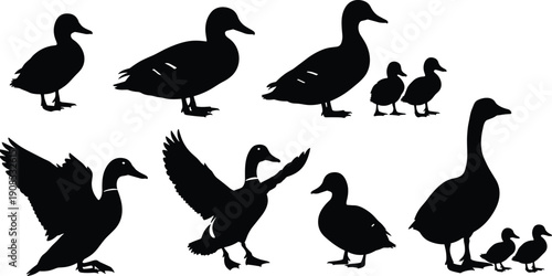Duck and goose silhouettes set showing adult and baby birds in standing and flying poses isolated on white background