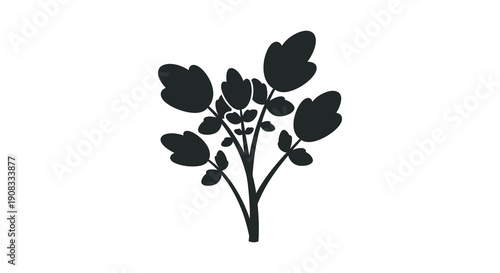 A minimalist black silhouette depicts a cluster of rounded leaves branching from a central stem high quality professional