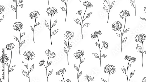 Beautiful black and white hand drawn daisy or chamomile flower pattern with delicate stems and leaves on a plain white background.