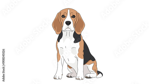 Realistic flat vector illustration of a beagle dog sitting and facing forward on a plain white background for pet care businesses.