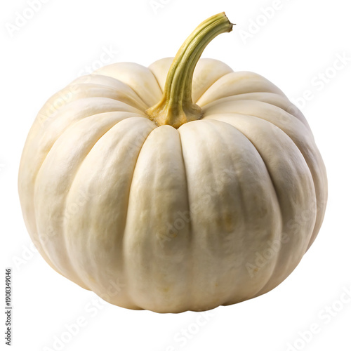 White pumpkin with pale skin and round shape, isolated on white background.png