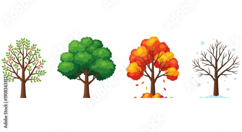Four Seasons Tree Illustration: Spring, Summer, Autumn, Winter - Nature Cycle