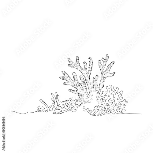 Delicate coral reef illustration with sea fans and marine life