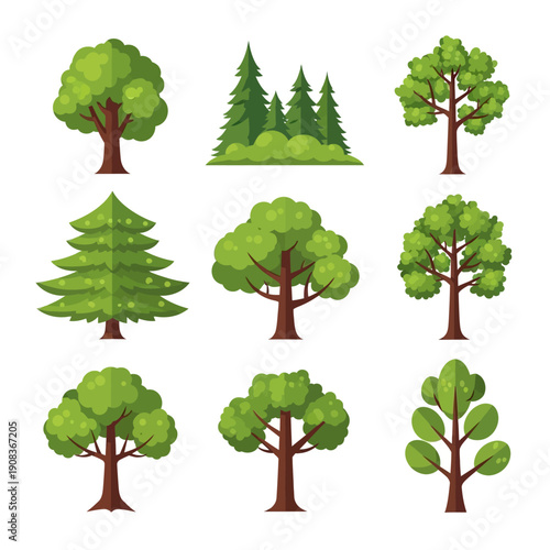 Set of cartoon trees, different types, isolated on white background