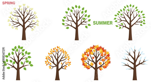 Four Seasons Tree Evolution: Spring, Summer, Autumn, Winter Cycle