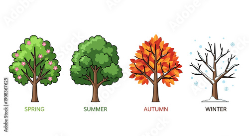 Four Seasons Tree: Spring, Summer, Autumn, Winter - Nature's Cycle