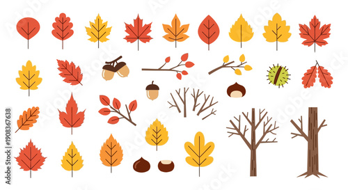 Autumn Leaves and Fall Elements Collection: Season's Beauty