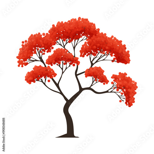 Rowan Tree, clean 2D vector flat illustration in minimal and modern style on a white background.