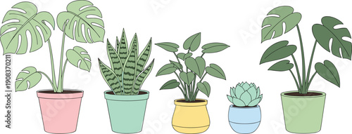 Vector Set of Indoor Houseplants in Colorful Ceramic Pots Featuring Monstera Deliciosa Snake Plant and Succulents for Interior Design Home Decor and Minimalist Botanical Illustration (25 words)