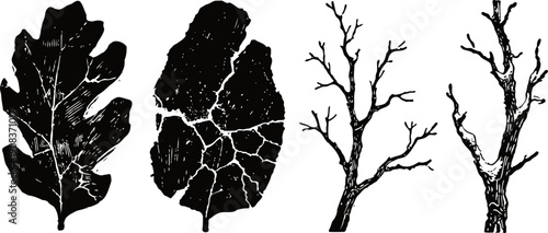 black silhouette set of oak leaves and bare tree branches isolated on white background