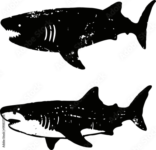 silhouettes of great white sharks swimming with detailed body shapes and fins