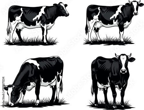 Set of black and white hand drawn cow silhouettes grazing on grass for dairy farm and organic agriculture