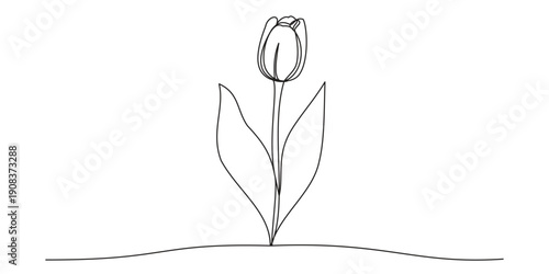Continuous  one line drawing tulip flower Tulip flower continuous one line drawing Minimalist tulip line art illustration