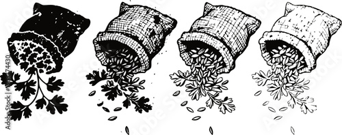 Four vintage spice sacks spilling herbs and seeds in black and white illustration