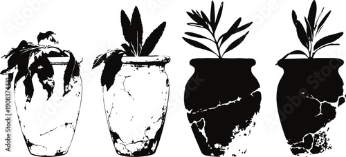 Four cracked clay pots with various leafy plants growing in vintage containers