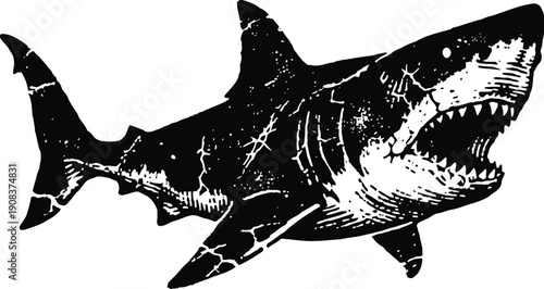 Angry great white shark illustration open mouth predator sea animal with sharp teeth aggressive ocean creature detailed drawing