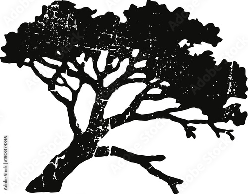 Silhouette of a windswept tree with sparse leaves and a gnarled trunk against white background