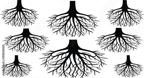 Vector, black, silhouette, illustration, set, of, various, intricate, tree, root, systems, and, organic, underground, growth, patterns, for, nature, botany, and, environmental, design, elements