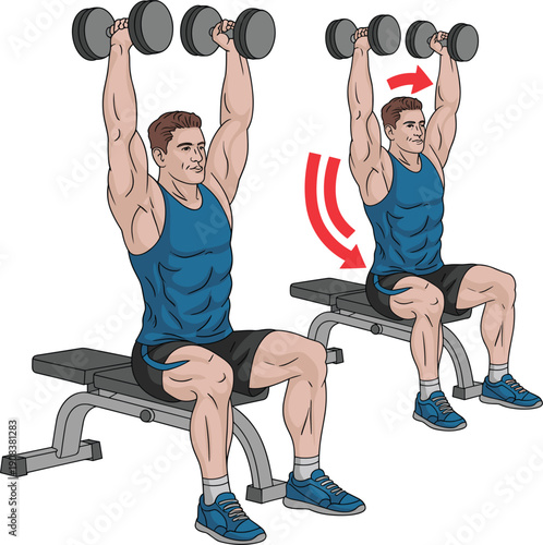 Seated dumbbell shoulder press exercise illustration showing correct form, muscle activation, and strength training technique for gym workouts, fitness education, and bodybuilding routines