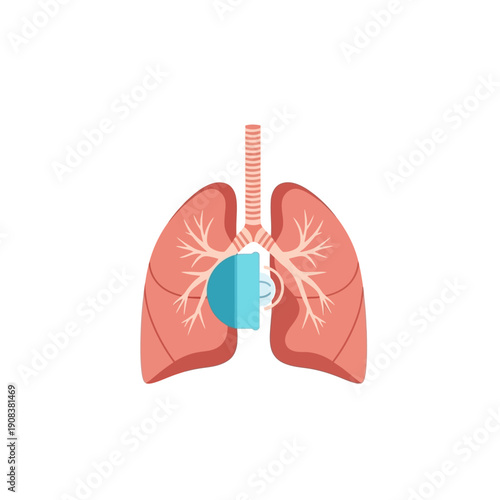 Human Lungs With Artificial Heart Valve Implanted