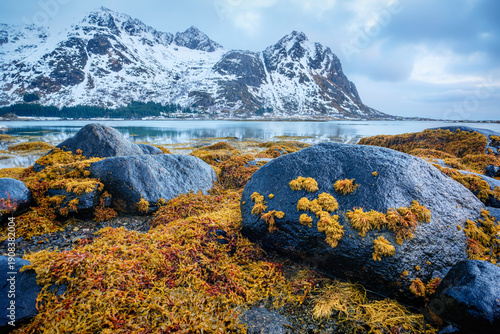 Rocky beach, Lofoten, Norway
