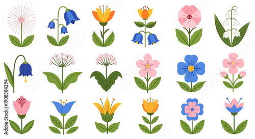 Colorful floral collection featuring diverse wildflower illustrations on a white background