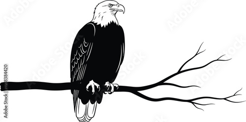 Black and white eagle illustration perched on tree branch, minimalist wildlife vector art, bold silhouette design isolated background